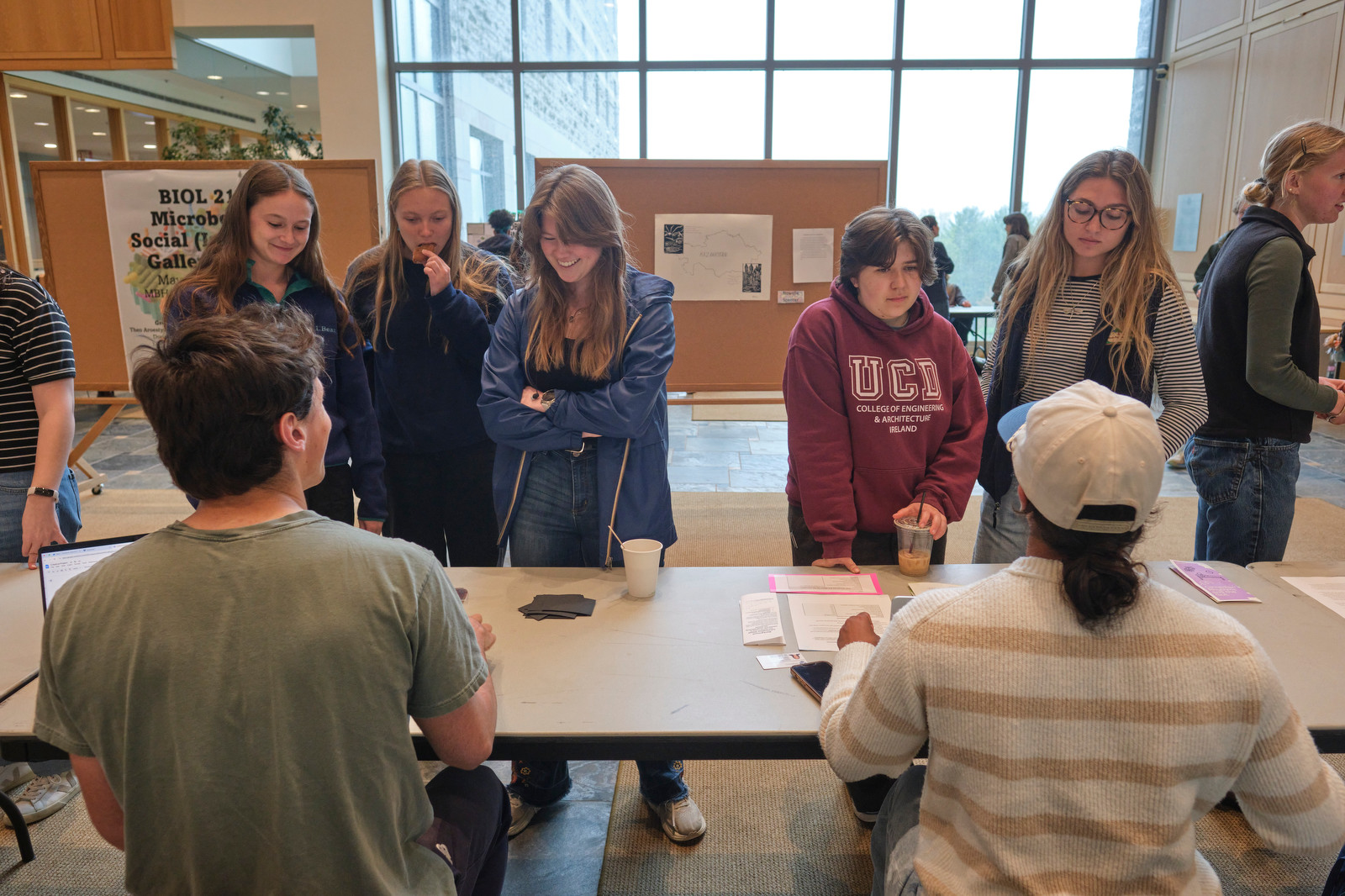 Students on a 'Microbiology Gallery Walk'